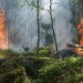 Hejtman Josef Suchánek vyhlásil období zvýšeného nebezpečí vzniku požárů