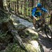 Bikery do Rychlebských hor láká nové video i nové stezky