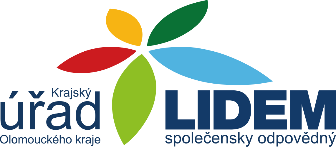 logo lidem