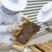 Téměř osm desítek včelařů požádalo kraj o podporu