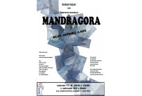 Mandragora 
