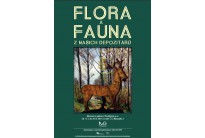 Flora a Fauna z našich depozitářů