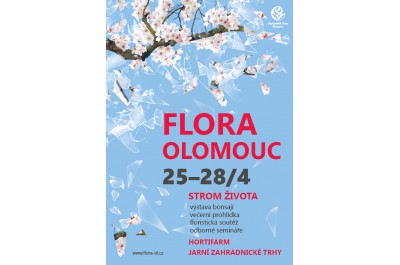 Flora Olomouc - jarní etapa