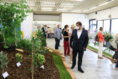 Začala letní etapa výstavy Flora Olomouc