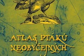 Ornitologická stanice v Přerově zve na výstavu o neobyčejných ptácích