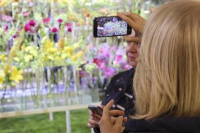 Flora propojila krásu květin a tóny hudby