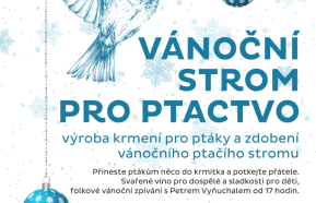 Vánoční strom pro ptactvo