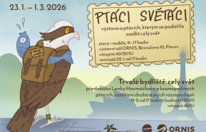 Ptáci světáci