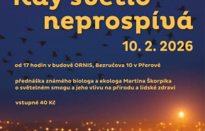 Kdy světlo neprospívá