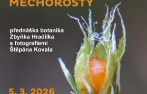 Nejstarší na souši: věčně neznámé mechorosty