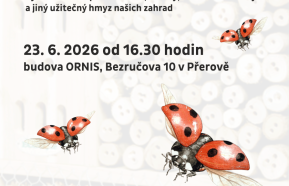 Hmyzí domek