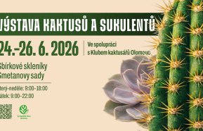 Výstava kaktusů a sukulentů