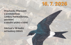 Exkurze za ptáky města