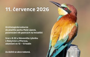 Za nejkrásnějším ptákem Evropy