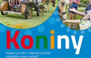 Koniny