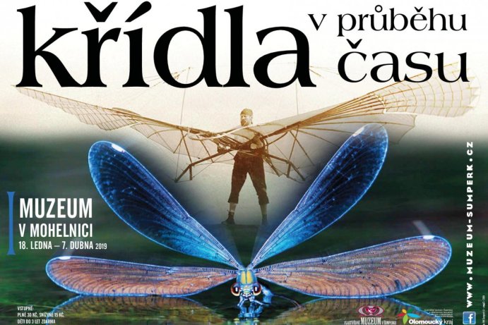 Křídla v průběhu času