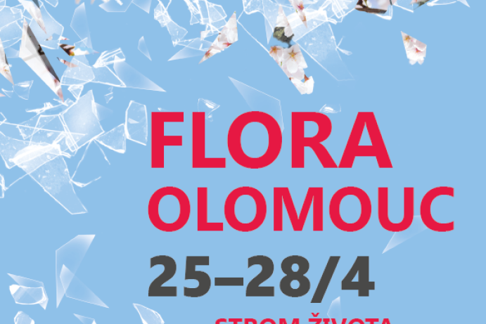 Flora Olomouc - jarní etapa