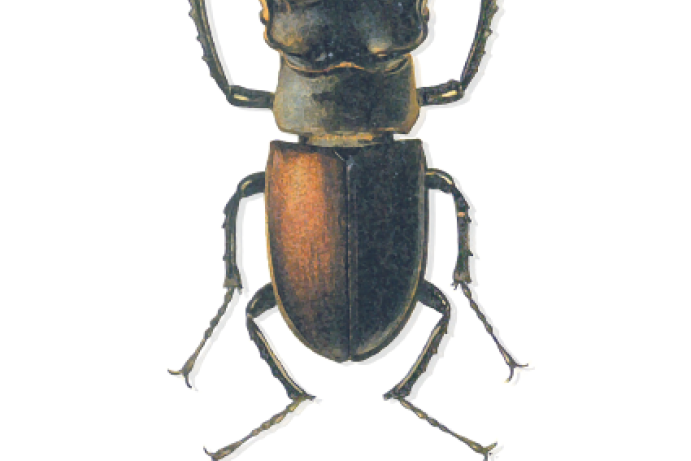  Barevný svět přírody 