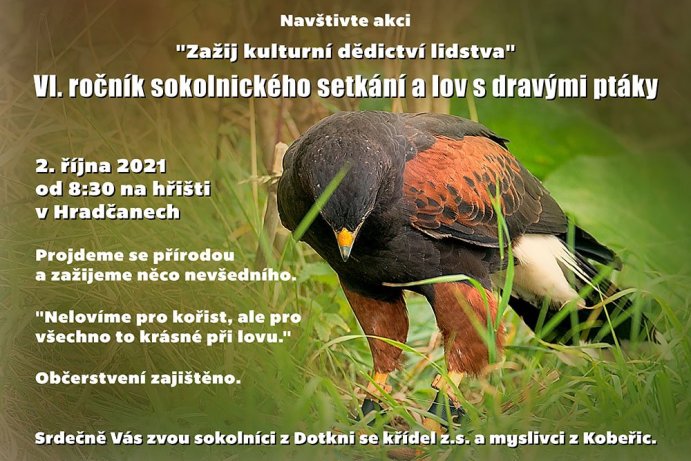 plakat prostějov - sokolnictví.jpg