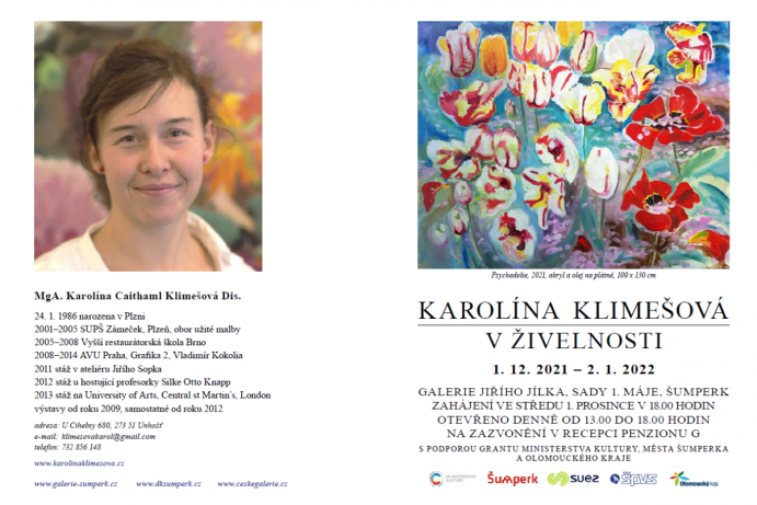 Karolína Klimešová „V živelnosti“