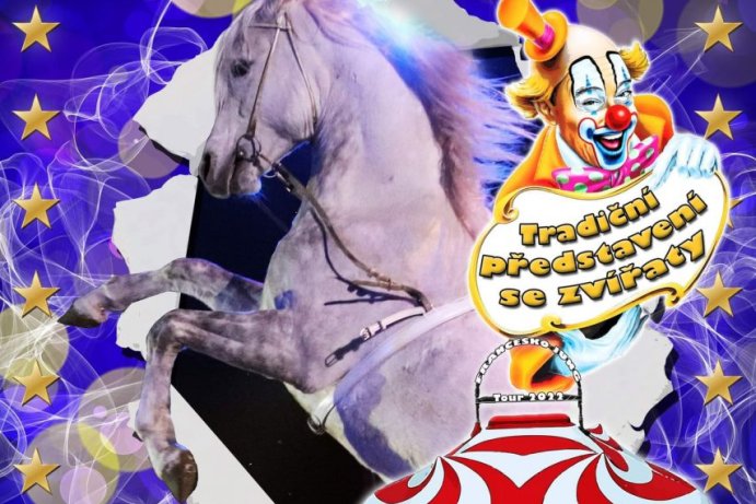 Cirkus Francesko Jung dětem