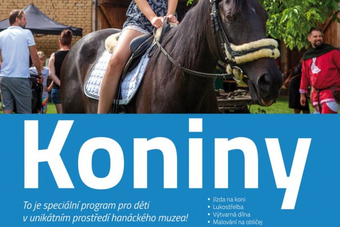 Koniny
