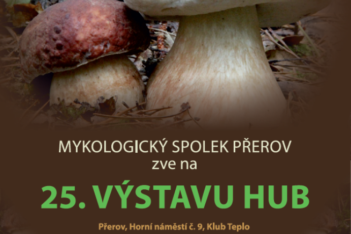 25. výstava hub