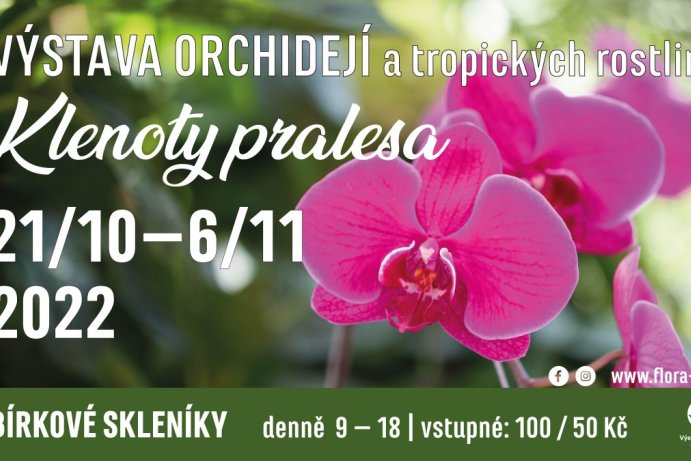 Klenoty pralesa, výstava orchidejí a tropických rostlin