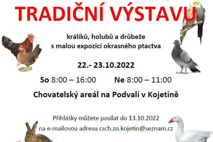 Tradiční výstava.JPG