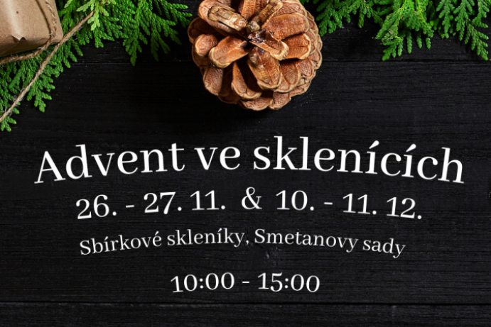 Advent ve sklenících
