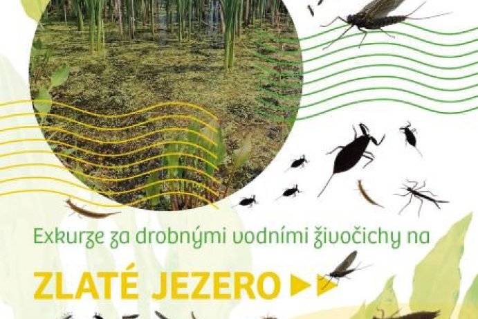Exkurze za drobnými vodními živočichy na Zlaté jezero