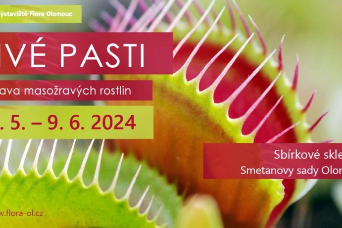 Živé pasti 2024