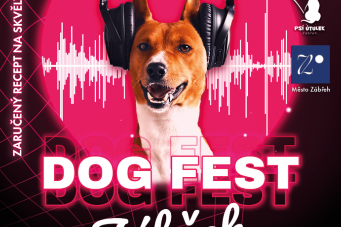 Dog Fest