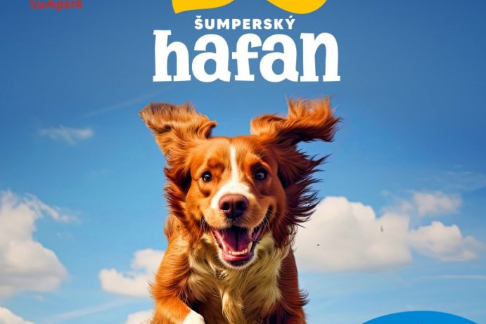Šumperský hafan 2024