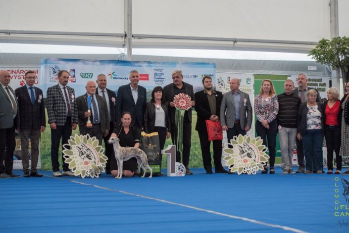 Národní výstava psů Floracanis Olomouc