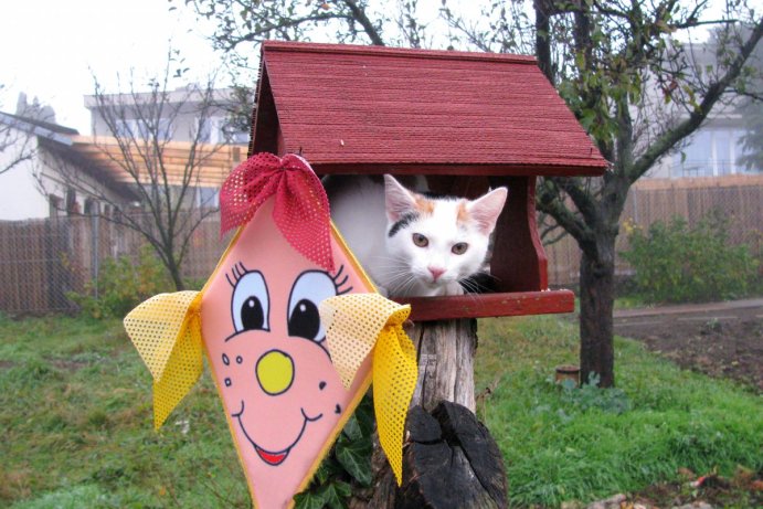 Fotosoutěž: Vtipný podzim