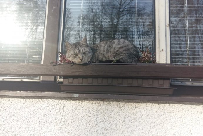 Fotosoutěž: Vtipný podzim