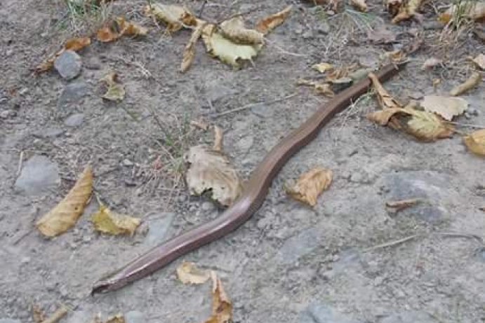 Fotosoutěž: Vtipný podzim