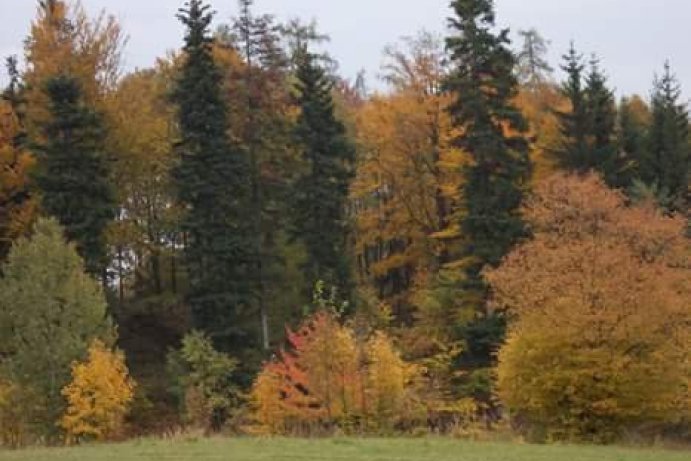Fotosoutěž: Vtipný podzim