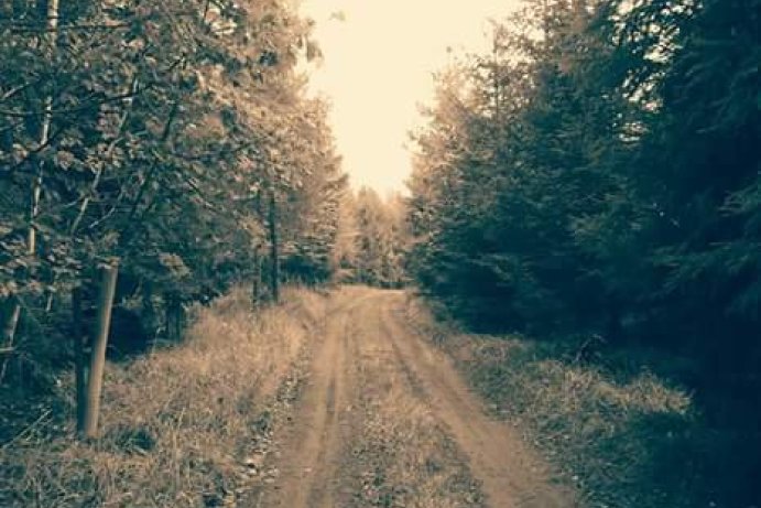 Fotosoutěž: Vtipný podzim