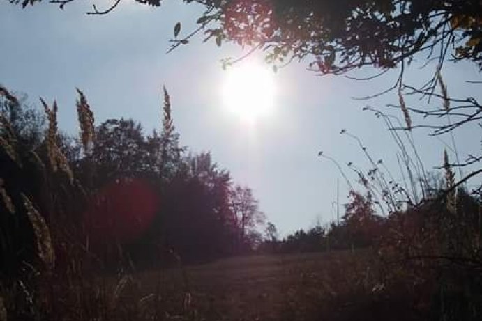 Fotosoutěž: Vtipný podzim