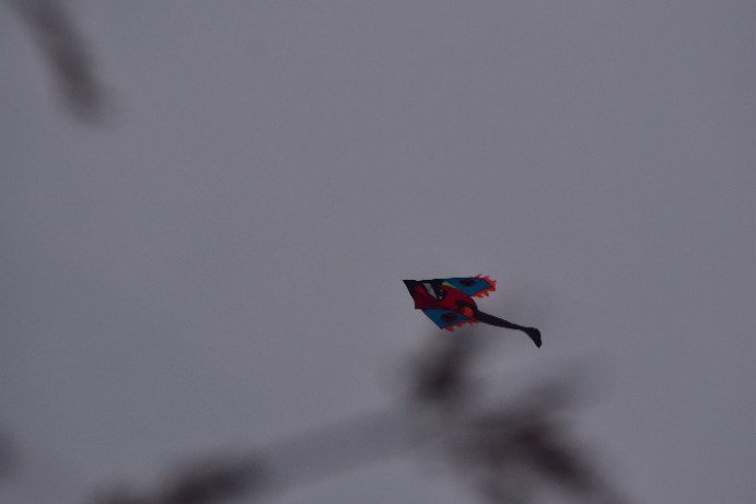 Fotosoutěž: Vtipný podzim