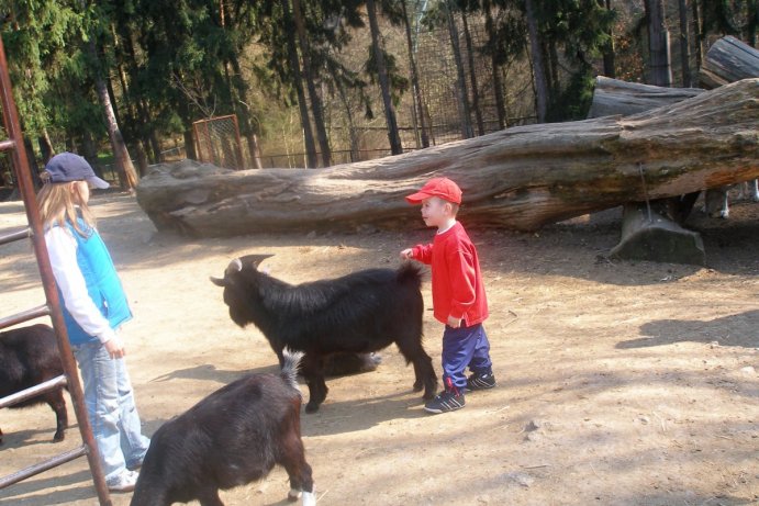 Fotosoutěž: Vtipný podzim