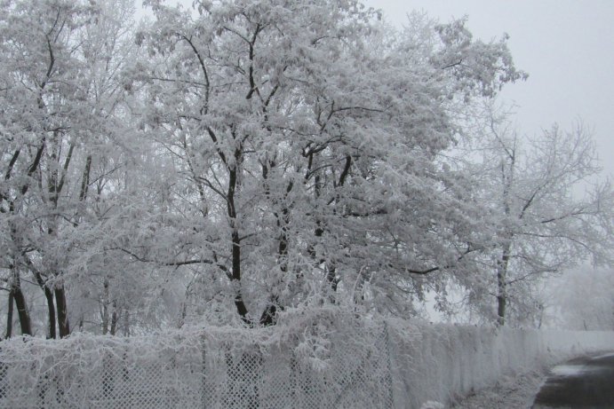 Fotosoutěž: Taková byla zima u nás