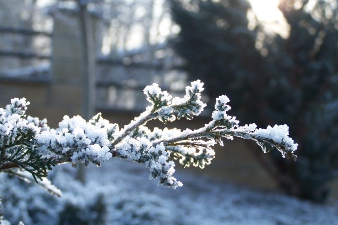 Fotosoutěž: Taková byla zima u nás