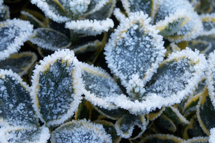 Fotosoutěž: Taková byla zima u nás