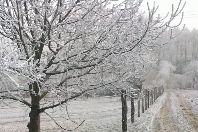 Fotosoutěž: Taková byla zima u nás