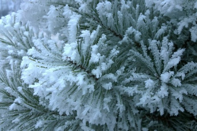 Fotosoutěž: Taková byla zima u nás