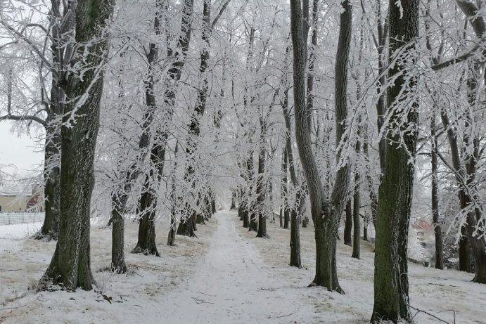 Fotosoutěž: Taková byla zima u nás