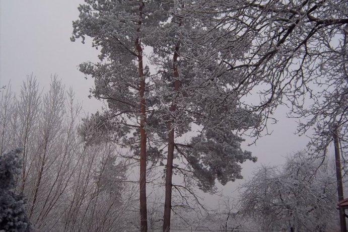 Fotosoutěž: Taková byla zima u nás